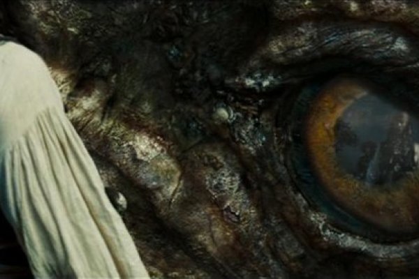 Hydra kraken