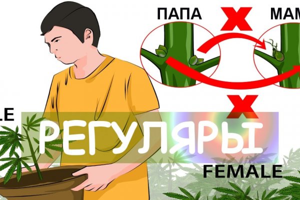 Кракен маркет даркнет только через торг