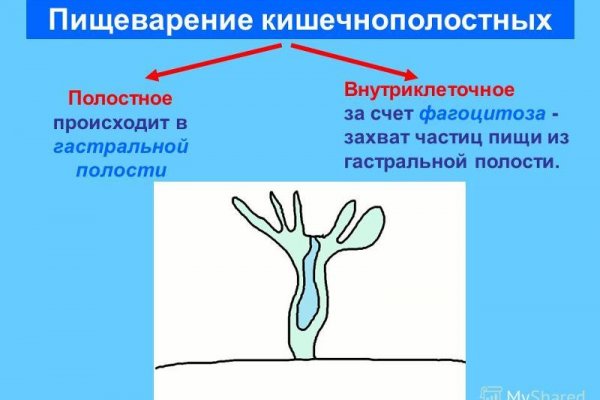 Кракен сайт store