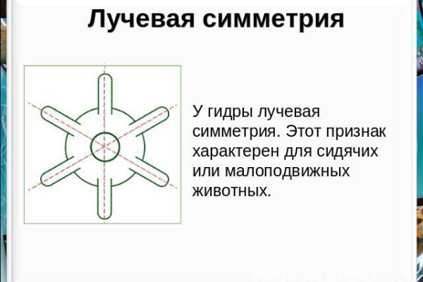 Kraken вход и ссылки