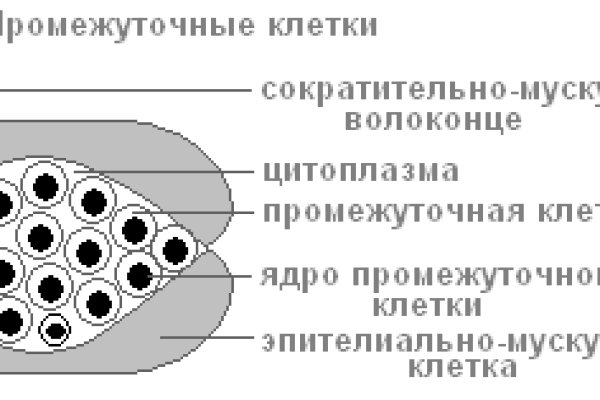 Кракен новый маркетплейс