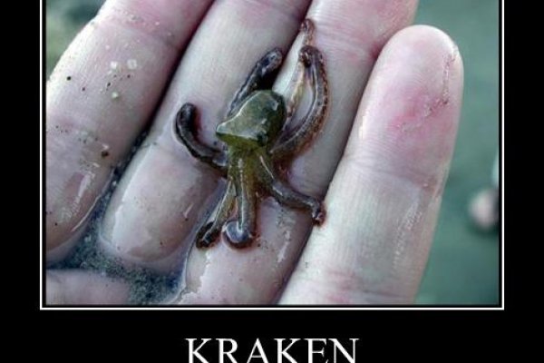 Kraken рынок