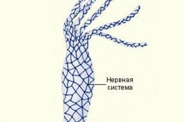Кракен маркетплейс ссылка тг