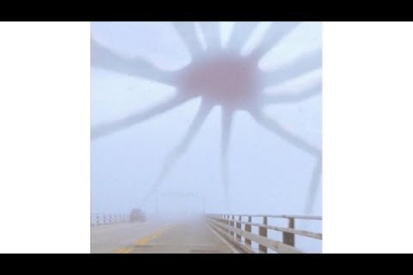 Kraken ссылка krakentor site