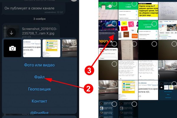 Kraken tor link