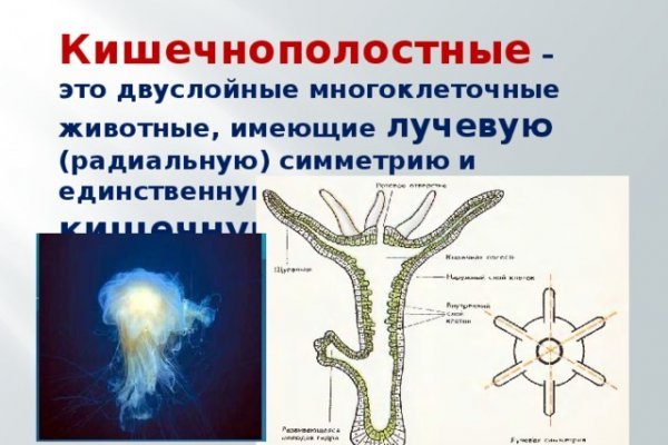 Ссылки на даркнет сайты