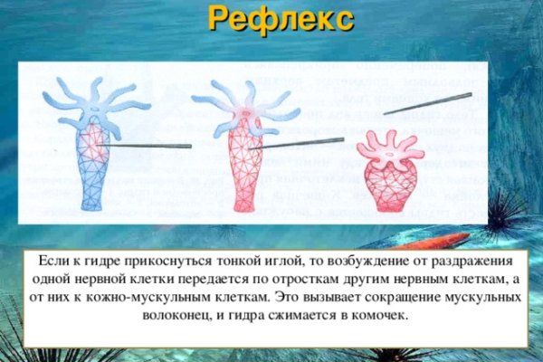 Kraken 18at зеркало